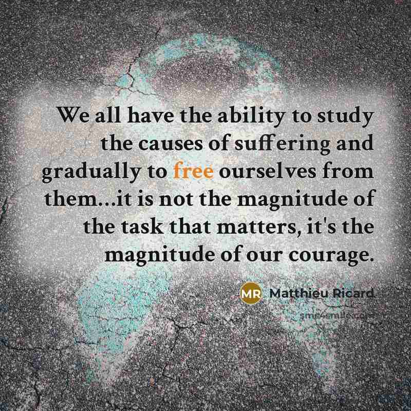 “We all have the ability to study the causes of suffering and gradually to free ourselves from them…it is not the magnitude of the task that matters, it's the magnitude of our courage.” quote by Matthieu Ricard