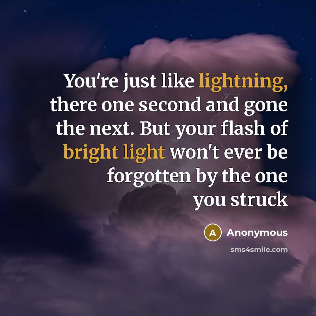 “You're just like lightning, there one second and gone the next. But your flash of bright light won't ever be forgotten by the one you struck” quote by Anonymous