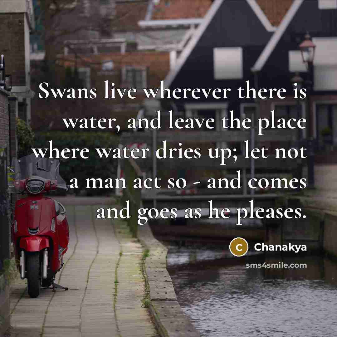 “Swans live wherever there is water, and leave the place where water dries up; let not a man act so - and comes and goes as he pleases.” quote by Chanakya