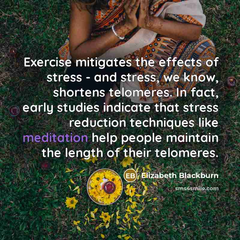 “Exercise mitigates the effects of stress - and stress, we know, shortens telomeres. In fact, early studies indicate that stress reduction techniques like meditation help people maintain the length of their telomeres.” quote by Elizabeth Blackburn
