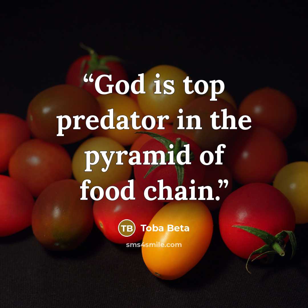 “God is top predator in the pyramid of food chain.” quote by Toba Beta