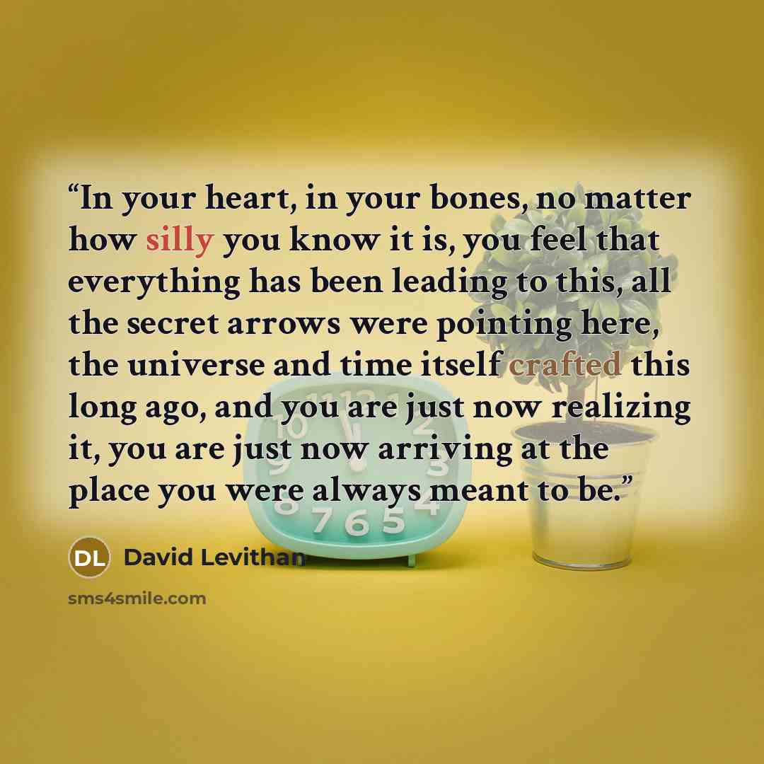“In your heart, in your bones, no matter how silly you know it is, you feel that everything has been leading to this, all the secret arrows were pointing here, the universe and time itself crafted this long ago, and you are just now realizing it, you are just now arriving at the place you were…” quote by David Levithan
