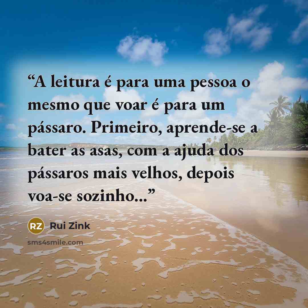 “A leitura é para uma pessoa o mesmo que voar é para um pássaro. Primeiro, aprende-se a bater as asas, com a ajuda dos pássaros mais velhos, depois voa-se sozinho...” quote by Rui Zink