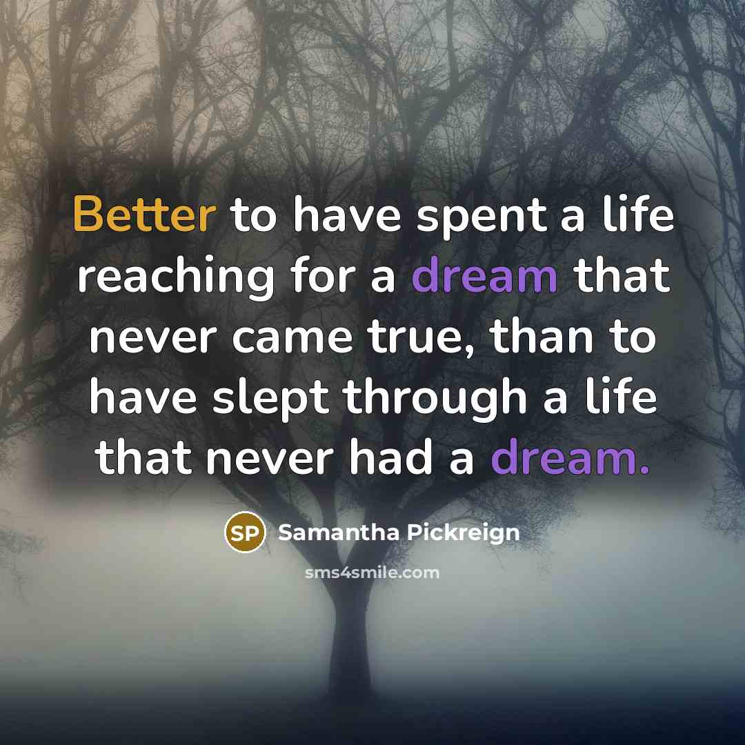 “Better to have spent a life reaching for a dream that never came true, than to have slept through a life that never had a dream.” quote by Samantha Pickreign
