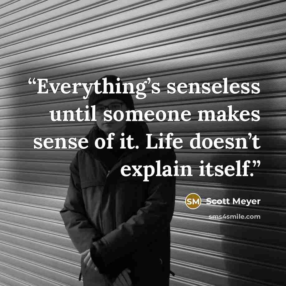 “Everything’s senseless until someone makes sense of it. Life doesn’t explain itself.” quote by Scott Meyer