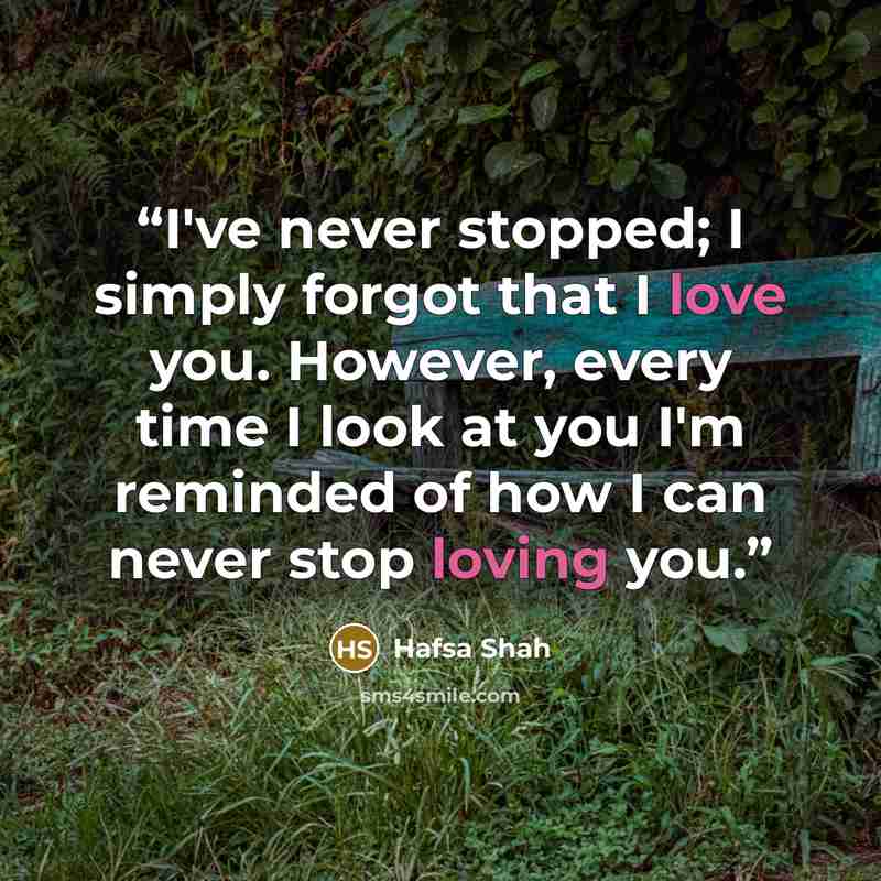 “I've never stopped; I simply forgot that I love you. However, every time I look at you I'm reminded of how I can never stop loving you.” quote by Hafsa Shah