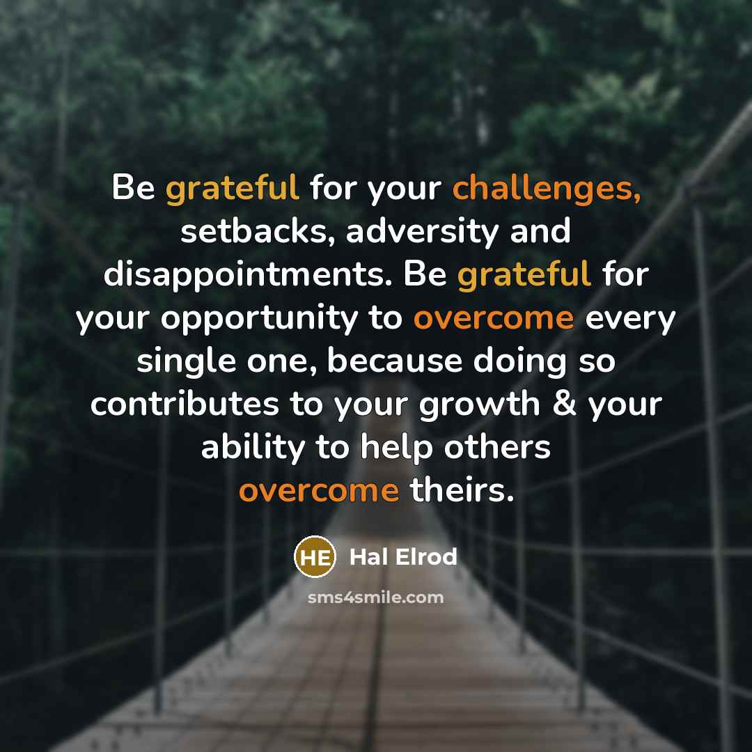 “Be grateful for your challenges, setbacks, adversity and disappointments. Be grateful for your opportunity to overcome every single one, because doing so contributes to your growth & your ability to help others overcome theirs.” quote by Hal Elrod