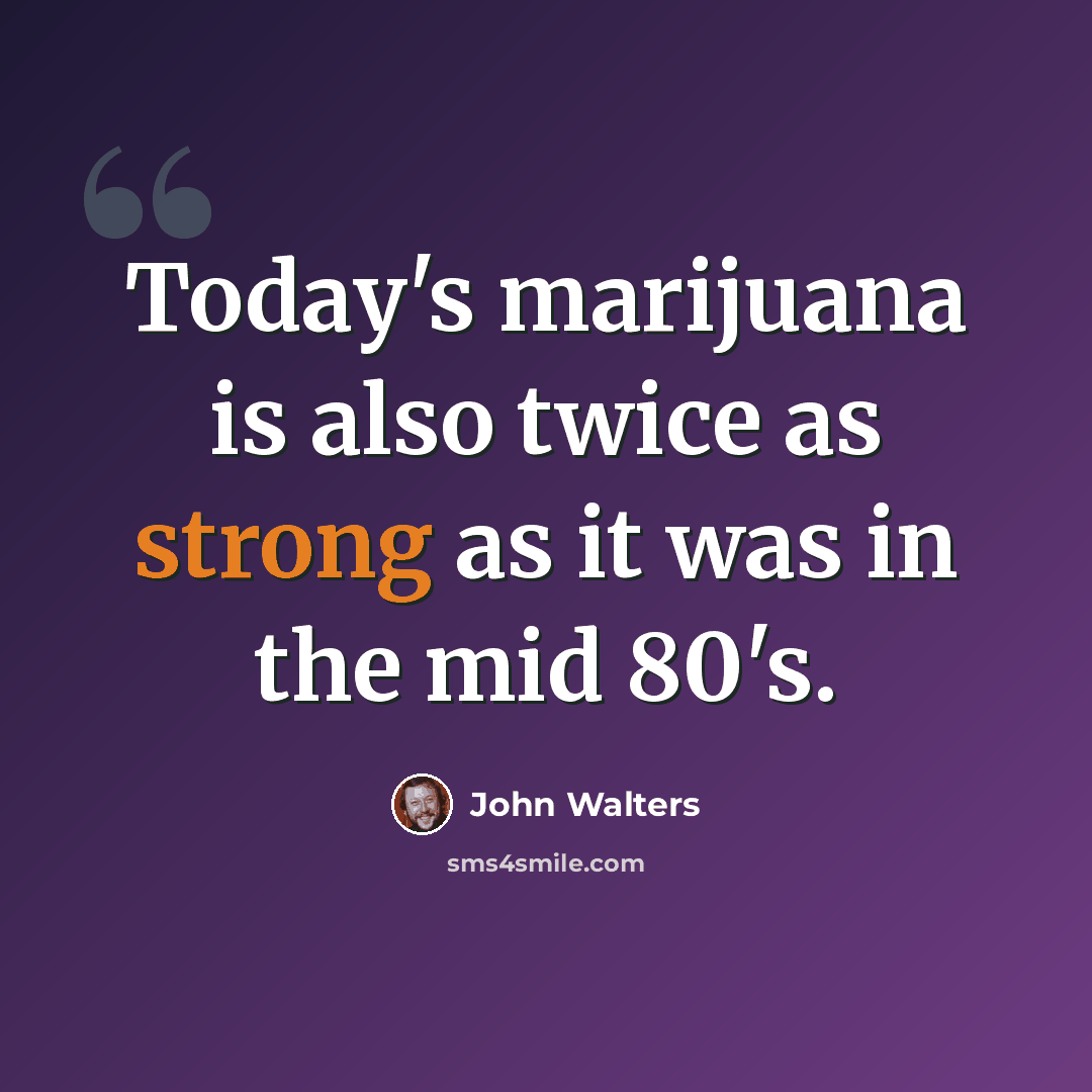 “Today's marijuana is also twice as strong as it was in the mid 80's.” quote by John Walters