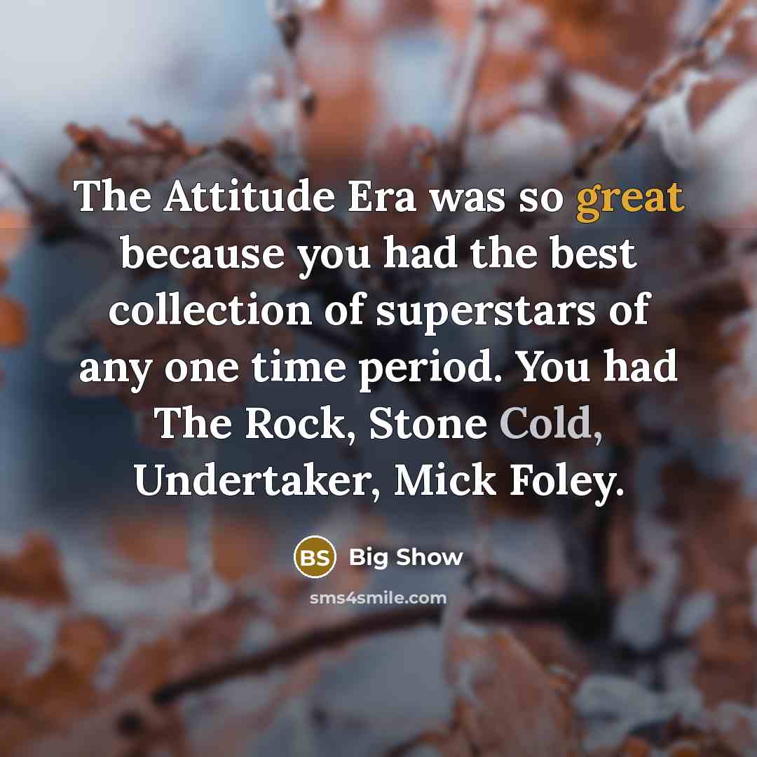 “The Attitude Era was so great because you had the best collection of superstars of any one time period. You had The Rock, Stone Cold, Undertaker, Mick Foley.” quote by Big Show