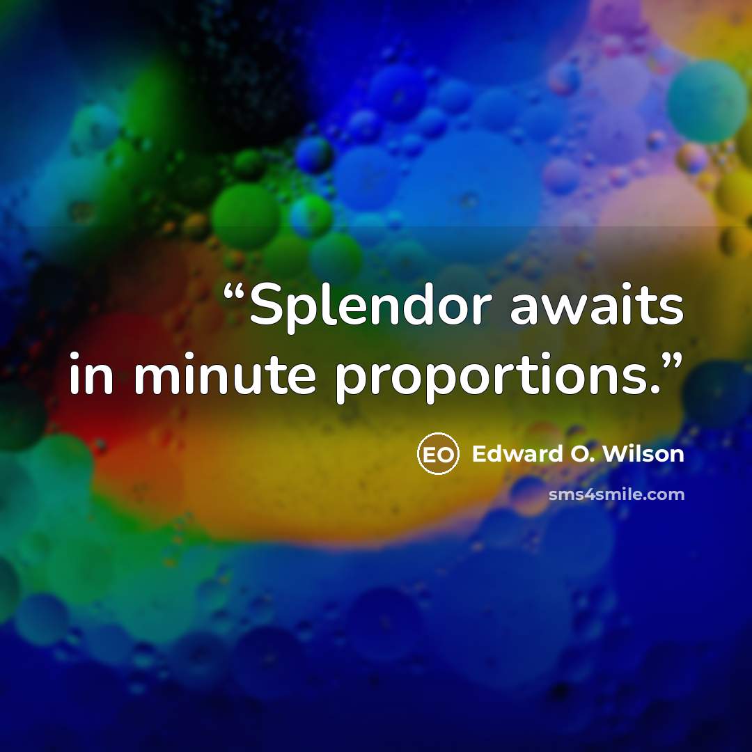 “Splendor awaits in minute proportions.” quote by Edward O. Wilson