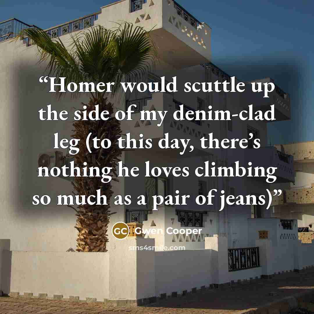 “Homer would scuttle up the side of my denim-clad leg (to this day, there’s nothing he loves climbing so much as a pair of jeans)” quote by Gwen Cooper