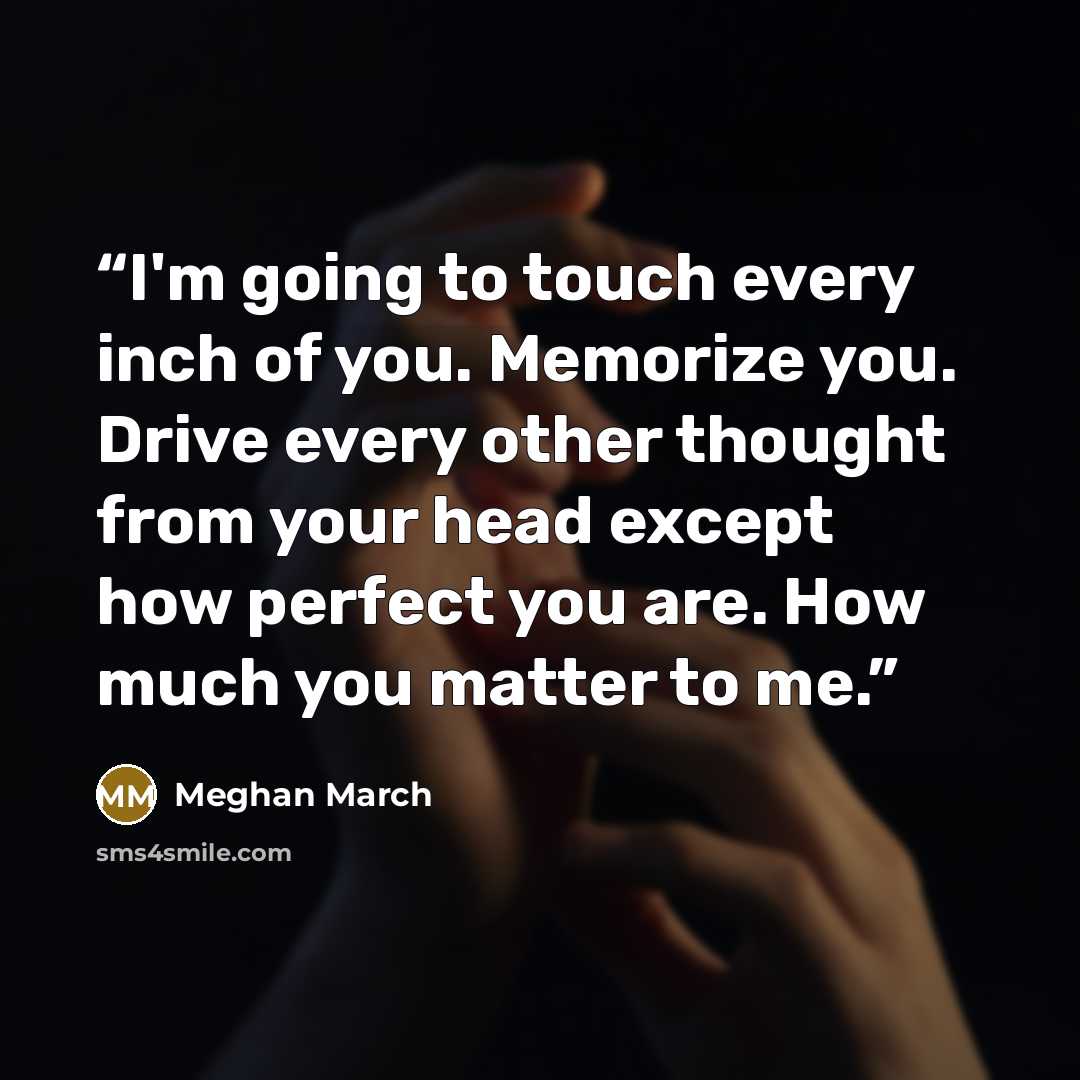 “I'm going to touch every inch of you. Memorize you. Drive every other thought from your head except how perfect you are. How much you matter to me.” quote by Meghan March
