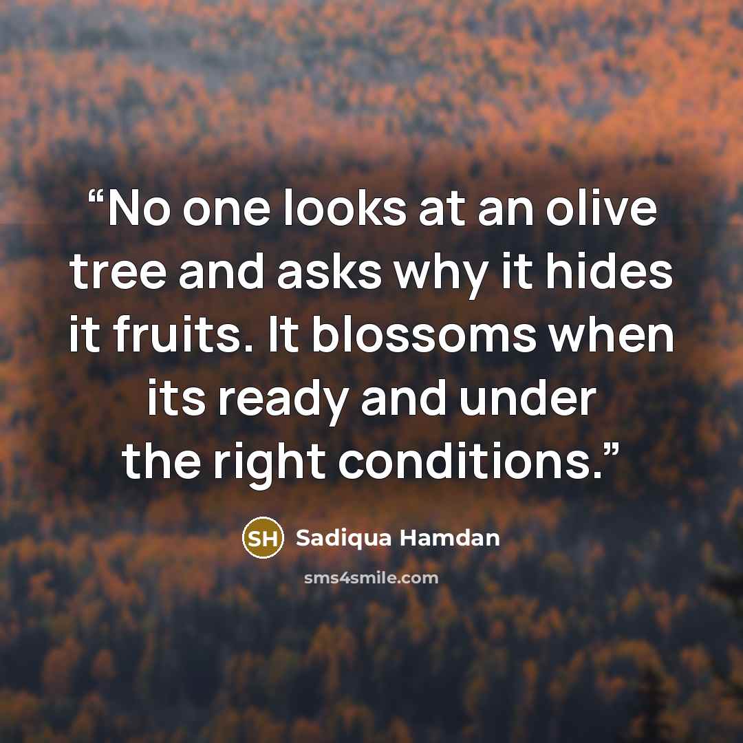 “No one looks at an olive tree and asks why it hides it fruits. It blossoms when its ready and under the right conditions.” quote by Sadiqua Hamdan