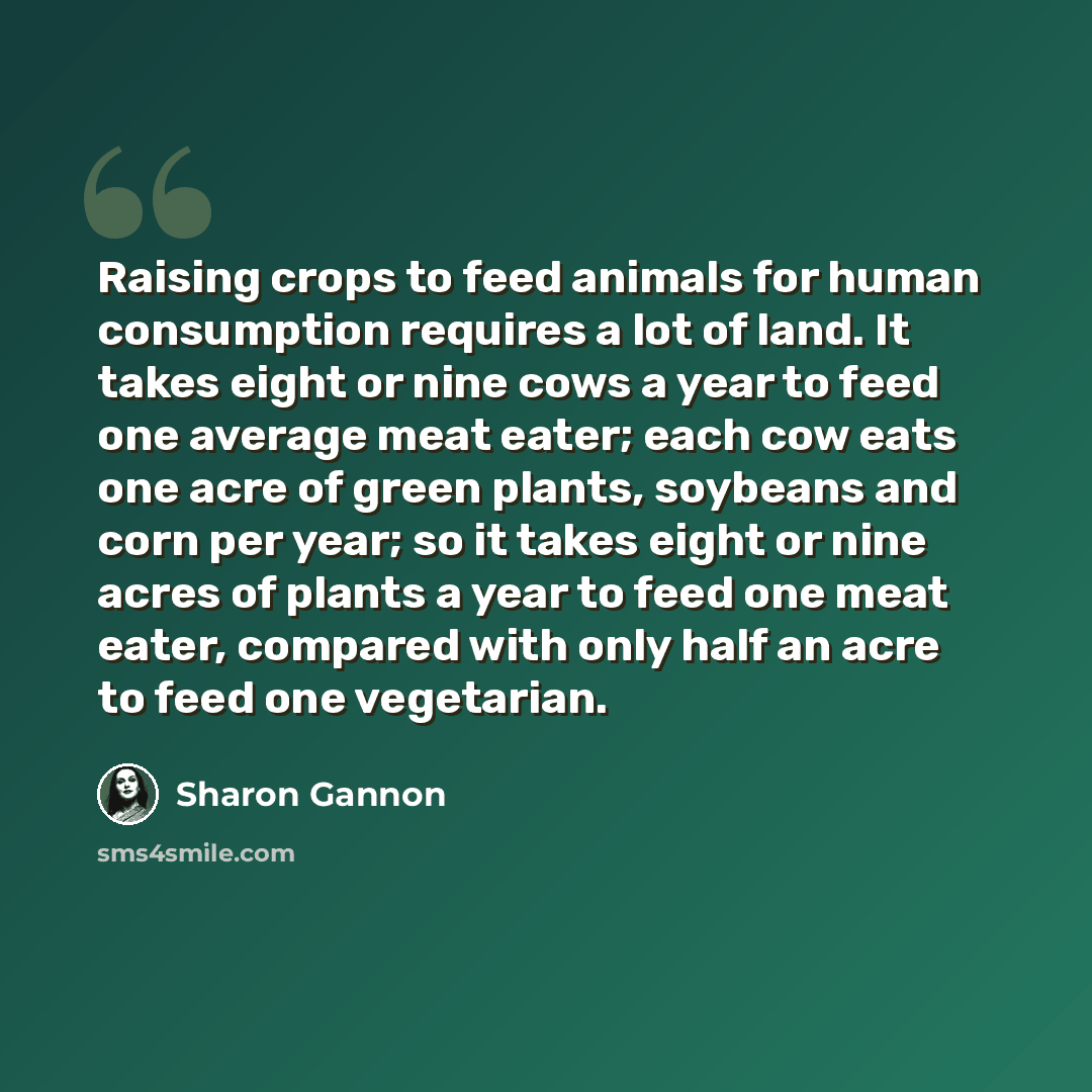 “Raising crops to feed animals for human consumption requires a lot of land. It takes eight or nine cows a year to feed one average meat eater; each cow eats one acre of green plants, soybeans and corn per year; so it takes eight or nine acres of plants a year to feed one meat eater, compared with…” quote by Sharon Gannon