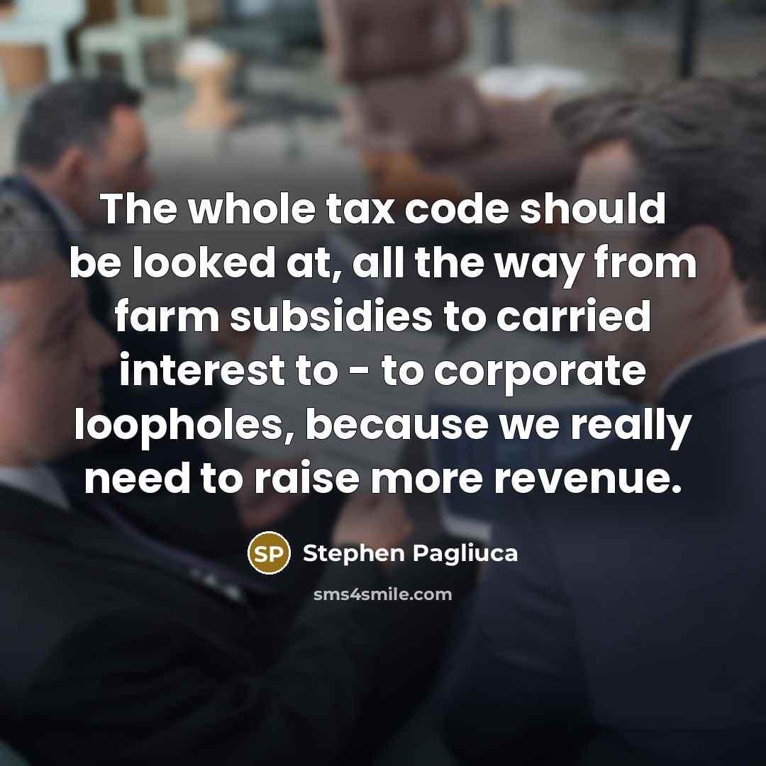 “The whole tax code should be looked at, all the way from farm subsidies to carried interest to - to corporate loopholes, because we really need to raise more revenue.” quote by Stephen Pagliuca