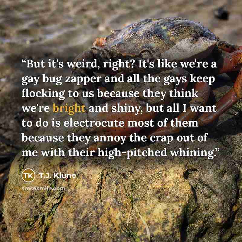 “But it's weird, right? It's like we're a gay bug zapper and all the gays keep flocking to us because they think we're bright and shiny, but all I want to do is electrocute most of them because they annoy the crap out of me with their high-pitched whining.” quote by T.J. Klune