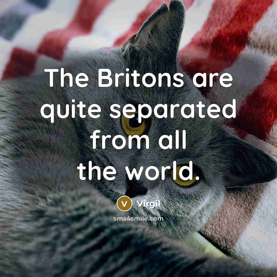 “The Britons are quite separated from all the world.” quote by Virgil