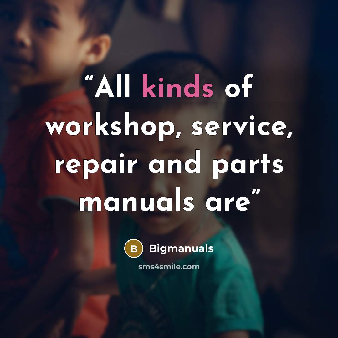 “All kinds of workshop, service, repair and parts manuals are” quote by Bigmanuals