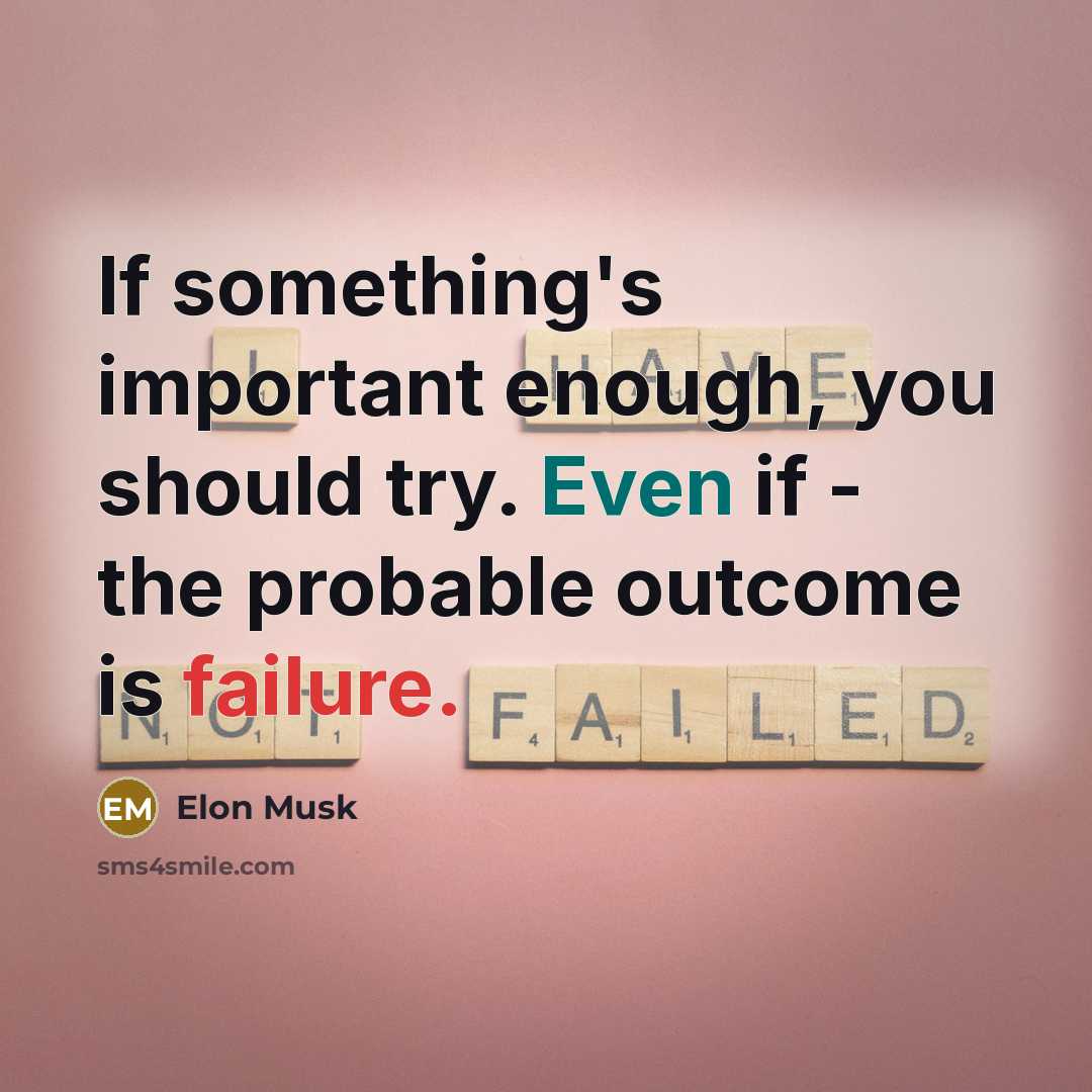 “If something's important enough, you should try. Even if - the probable outcome is failure.” quote by Elon Musk