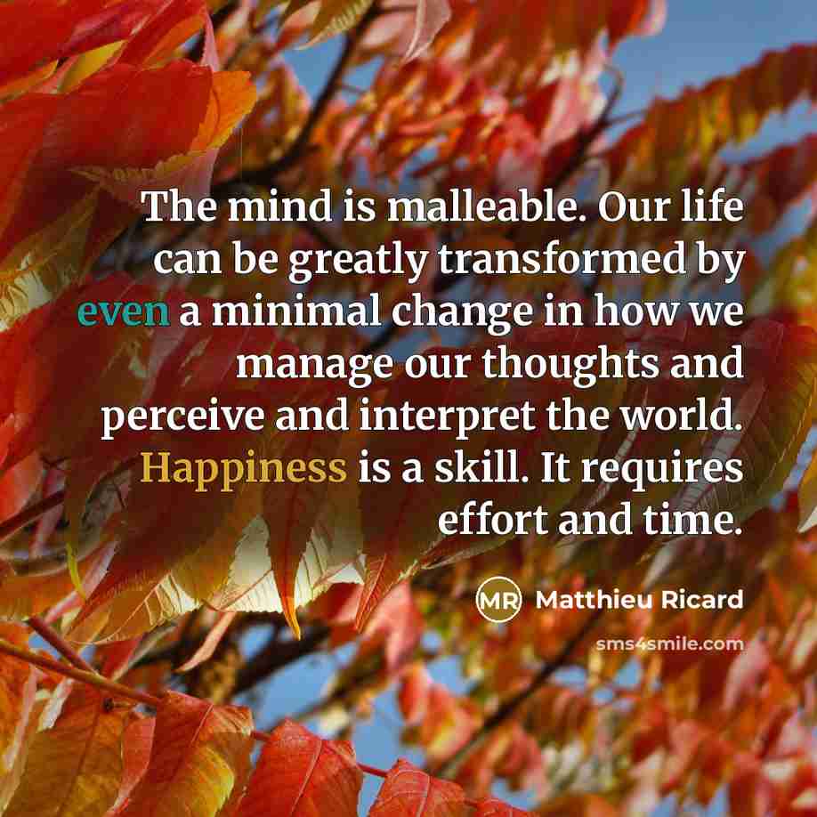 “The mind is malleable. Our life can be greatly transformed by even a minimal change in how we manage our thoughts and perceive and interpret the world. Happiness is a skill. It requires effort and time.” quote by Matthieu Ricard