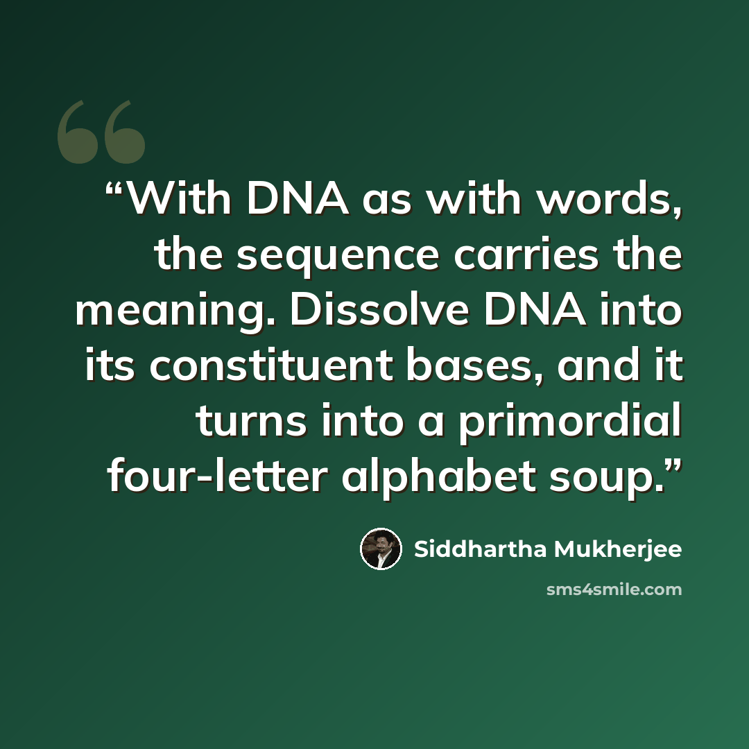 “With DNA as with words, the sequence carries the meaning. Dissolve DNA into its constituent bases, and it turns into a primordial four-letter alphabet soup.” quote by Siddhartha Mukherjee