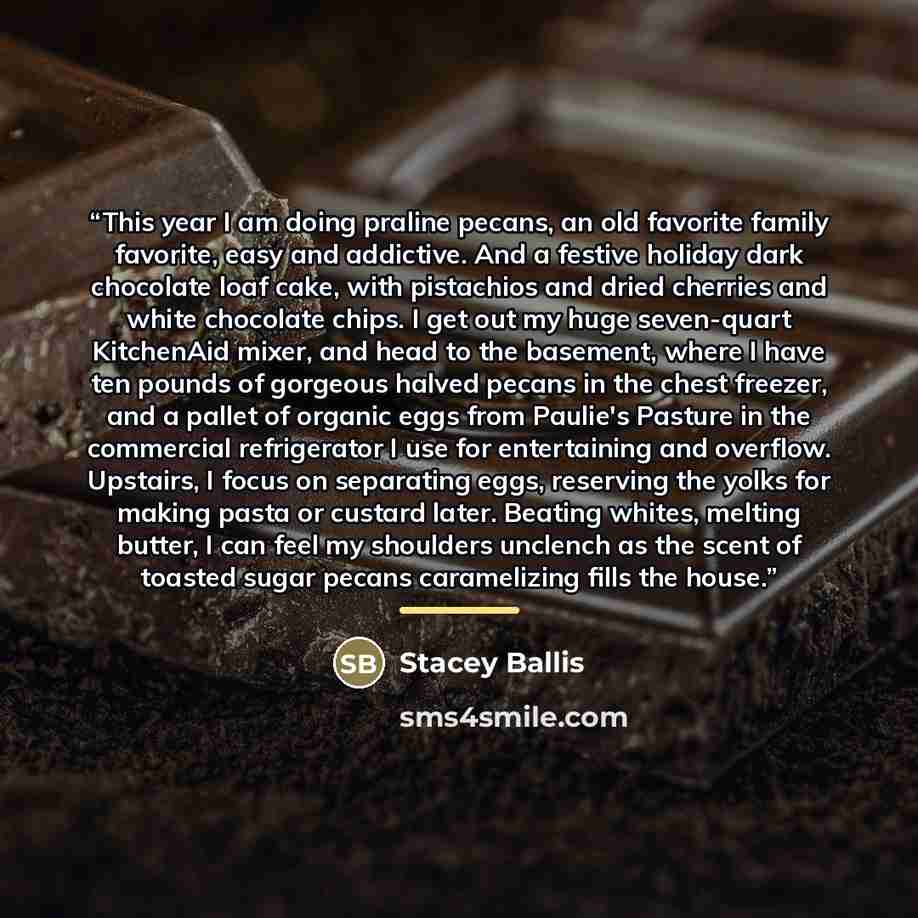 “This year I am doing praline pecans, an old favorite family favorite, easy and addictive. And a festive holiday dark chocolate loaf cake, with pistachios and dried cherries and white chocolate chips. I get out my huge seven-quart KitchenAid mixer, and head to the basement, where I have ten pounds…” quote by Stacey Ballis