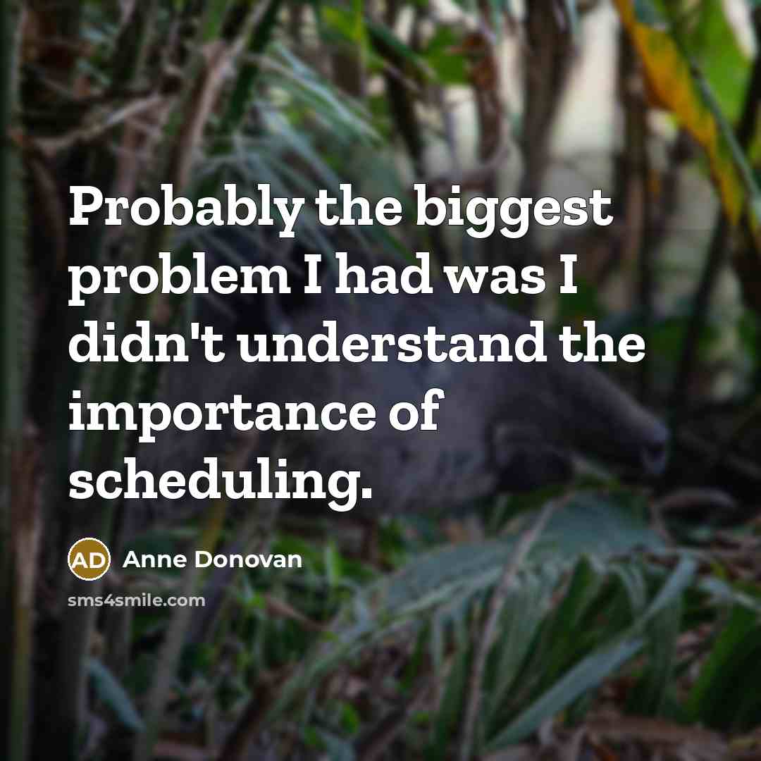 “Probably the biggest problem I had was I didn't understand the importance of scheduling.” quote by Anne Donovan