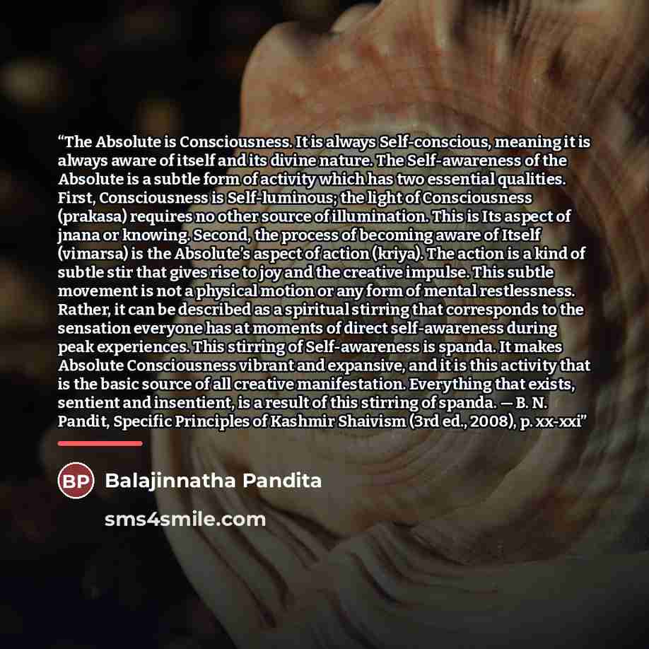 “The Absolute is Consciousness. It is always Self-conscious, meaning it is always aware of itself and its divine nature. The Self-awareness of the Absolute is a subtle form of activity which has two essential qualities. First, Consciousness is Self-luminous; the light of Consciousness (prakasa)…” quote by Balajinnatha Pandita