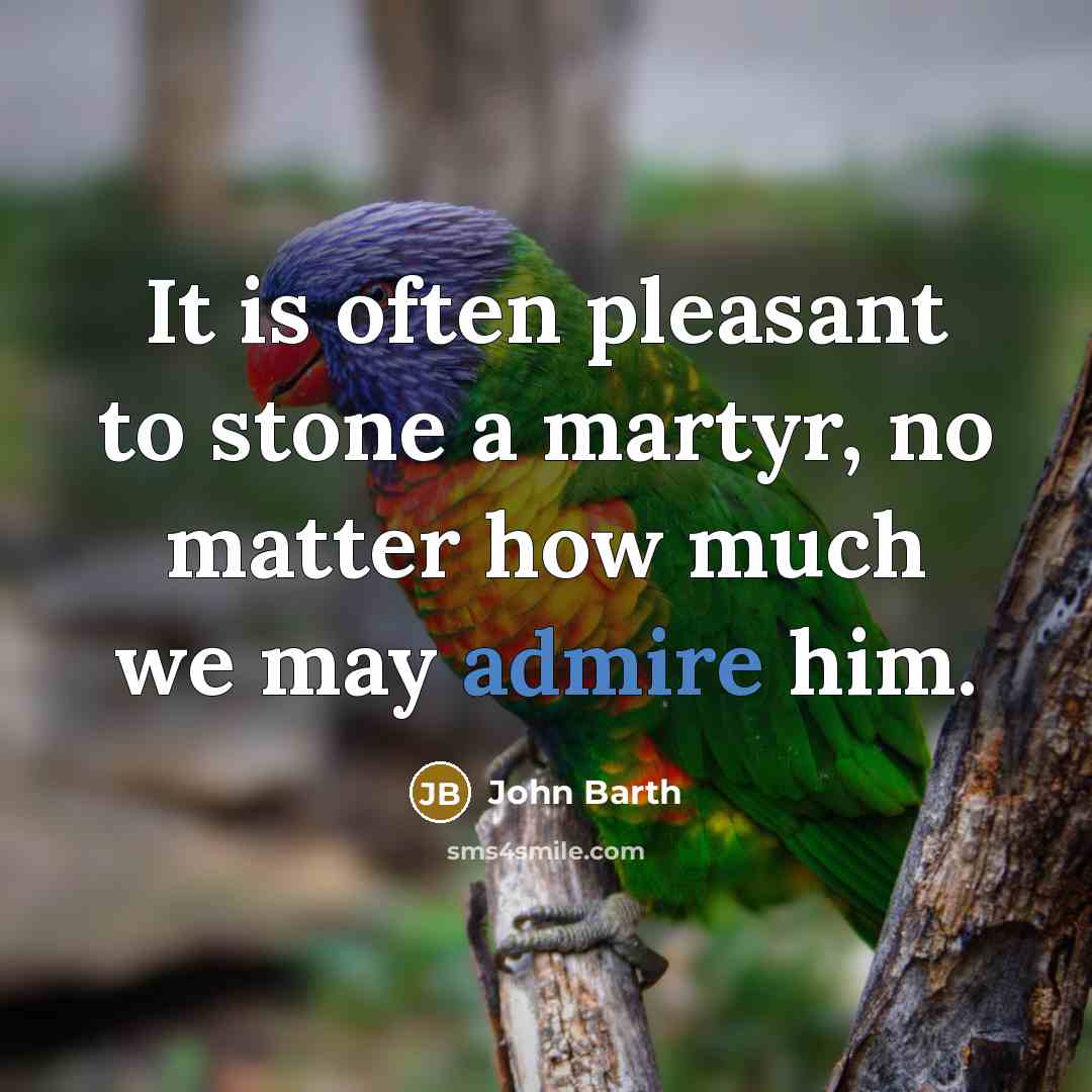 “It is often pleasant to stone a martyr, no matter how much we may admire him.” quote by John Barth