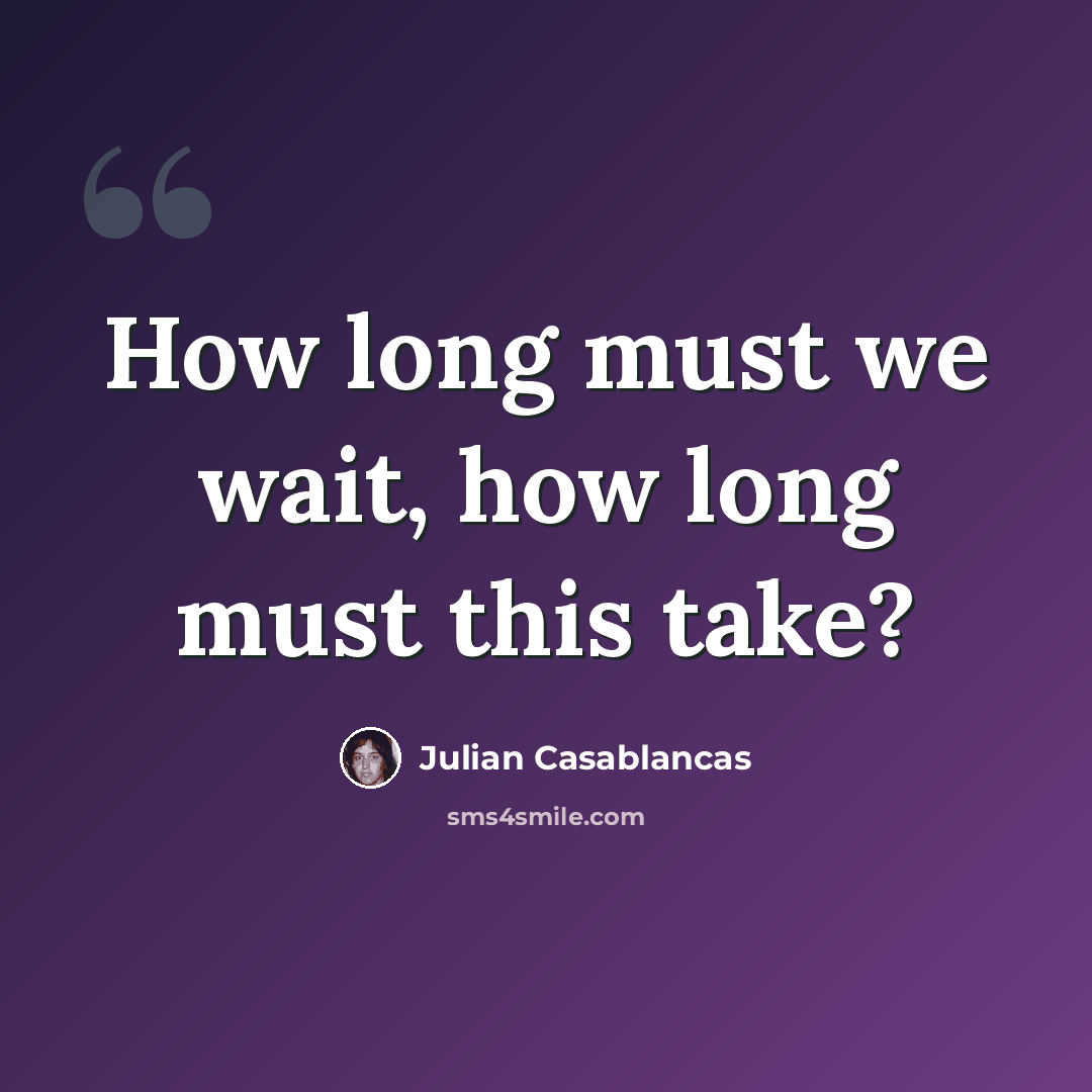“How long must we wait, how long must this take?” quote by Julian Casablancas