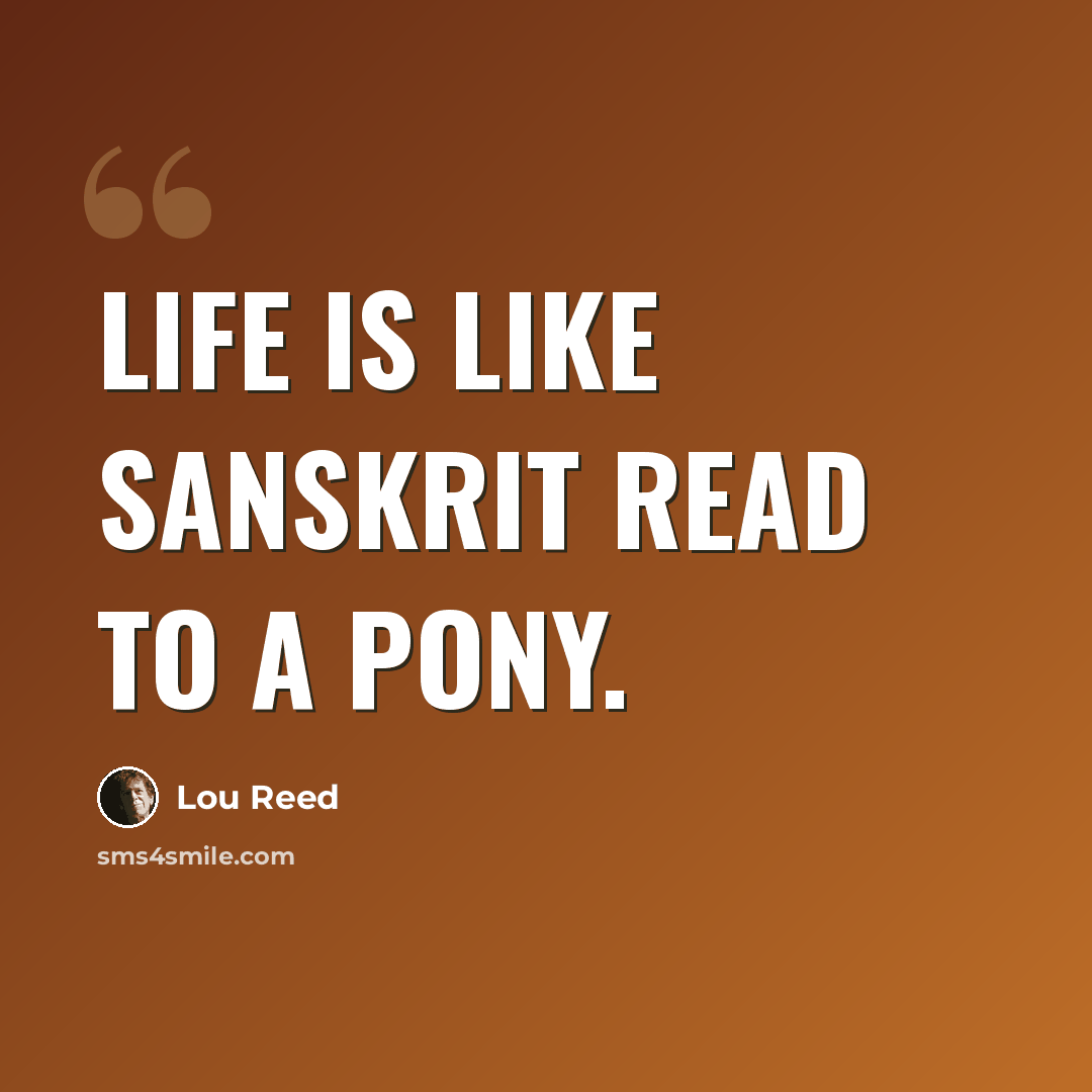 “Life is like Sanskrit read to a pony.” quote by Lou Reed