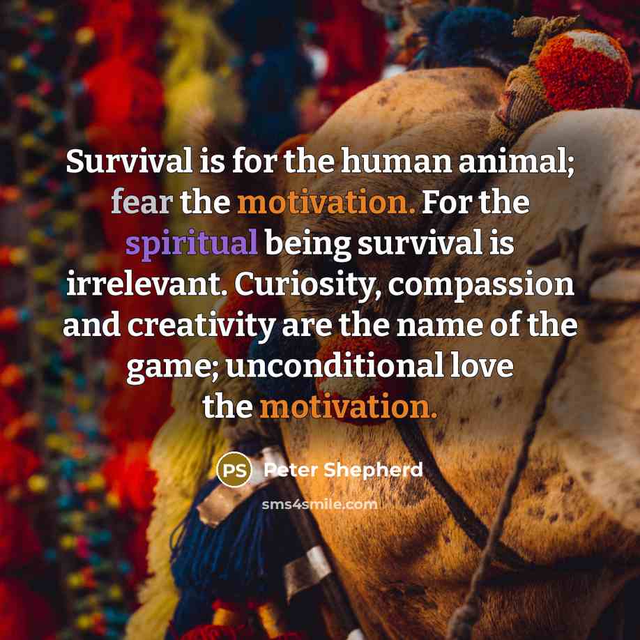 “Survival is for the human animal; fear the motivation. For the spiritual being survival is irrelevant. Curiosity, compassion and creativity are the name of the game; unconditional love the motivation.” quote by Peter Shepherd