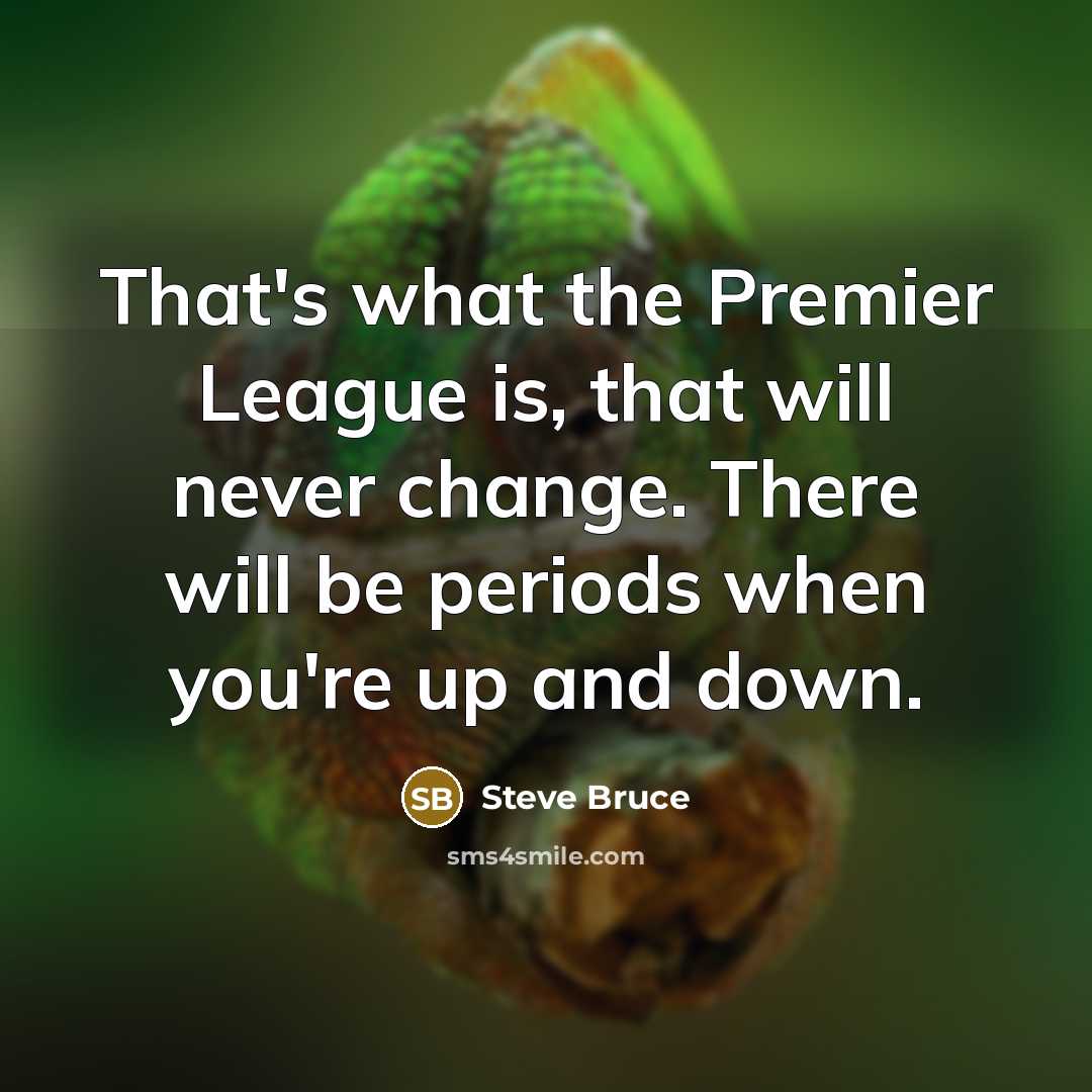 “That's what the Premier League is, that will never change. There will be periods when you're up and down.” quote by Steve Bruce