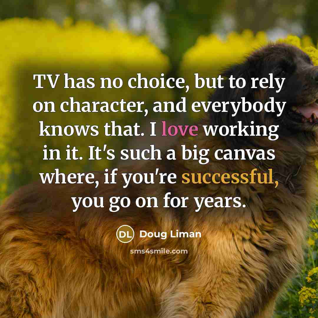 “TV has no choice, but to rely on character, and everybody knows that. I love working in it. It's such a big canvas where, if you're successful, you go on for years.” quote by Doug Liman