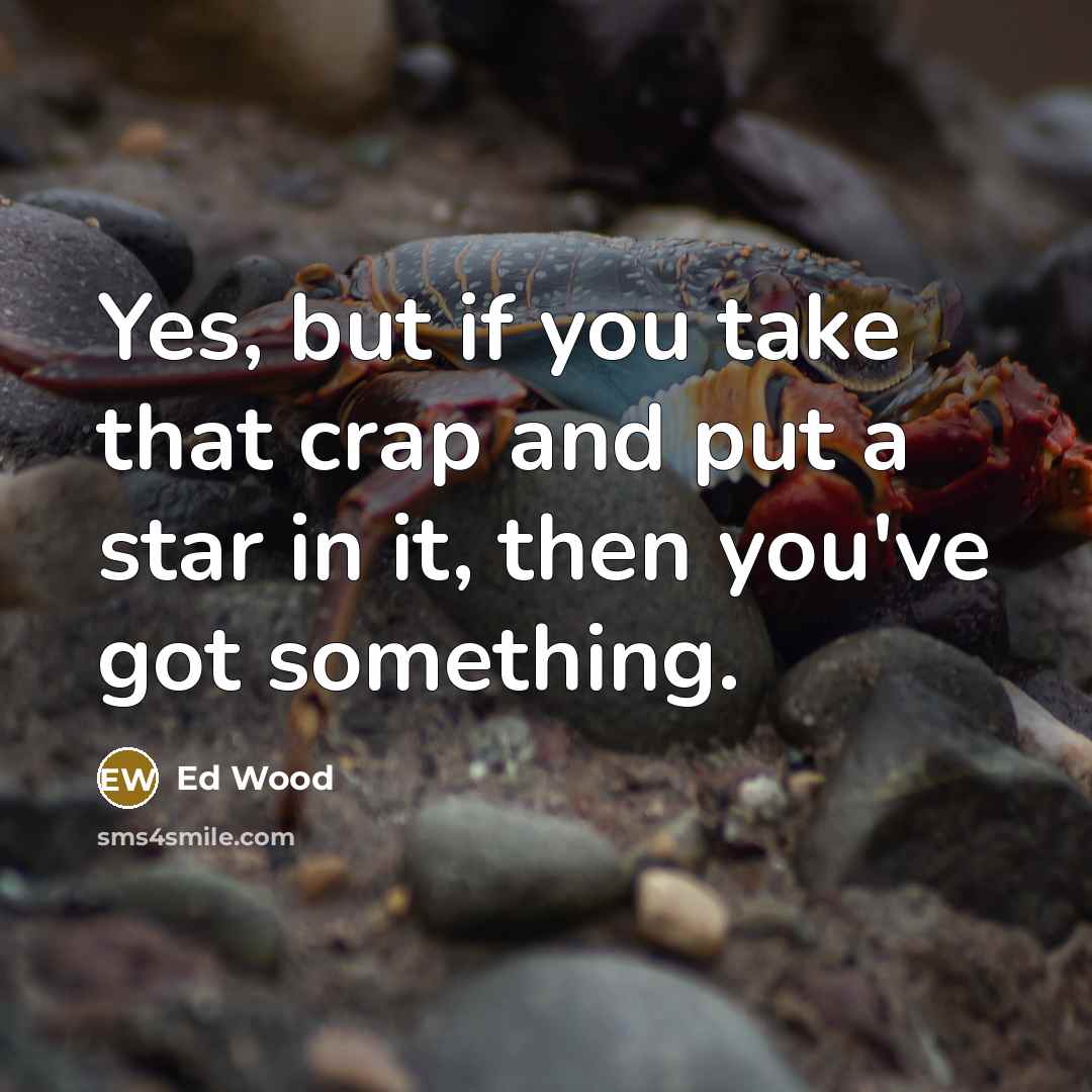 “Yes, but if you take that crap and put a star in it, then you've got something.” quote by Ed Wood