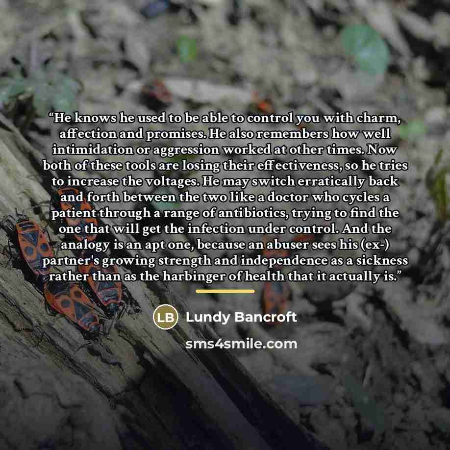 “He knows he used to be able to control you with charm, affection and promises. He also remembers how well intimidation or aggression worked at other times. Now both of these tools are losing their effectiveness, so he tries to increase the voltages. He may switch erratically back and forth between…” quote by Lundy Bancroft