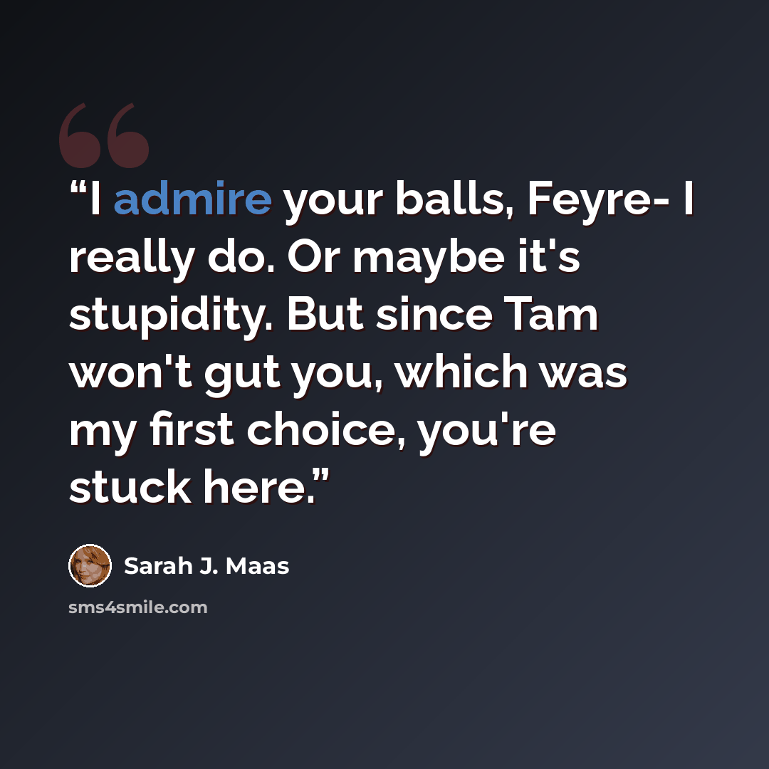 “I admire your balls, Feyre- I really do. Or maybe it's stupidity. But since Tam won't gut you, which was my first choice, you're stuck here.” quote by Sarah J. Maas