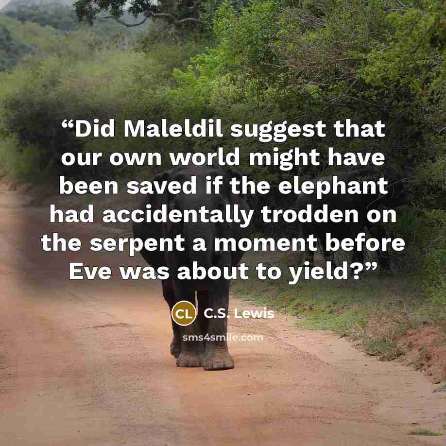 “Did Maleldil suggest that our own world might have been saved if the elephant had accidentally trodden on the serpent a moment before Eve was about to yield?” quote by C.S. Lewis