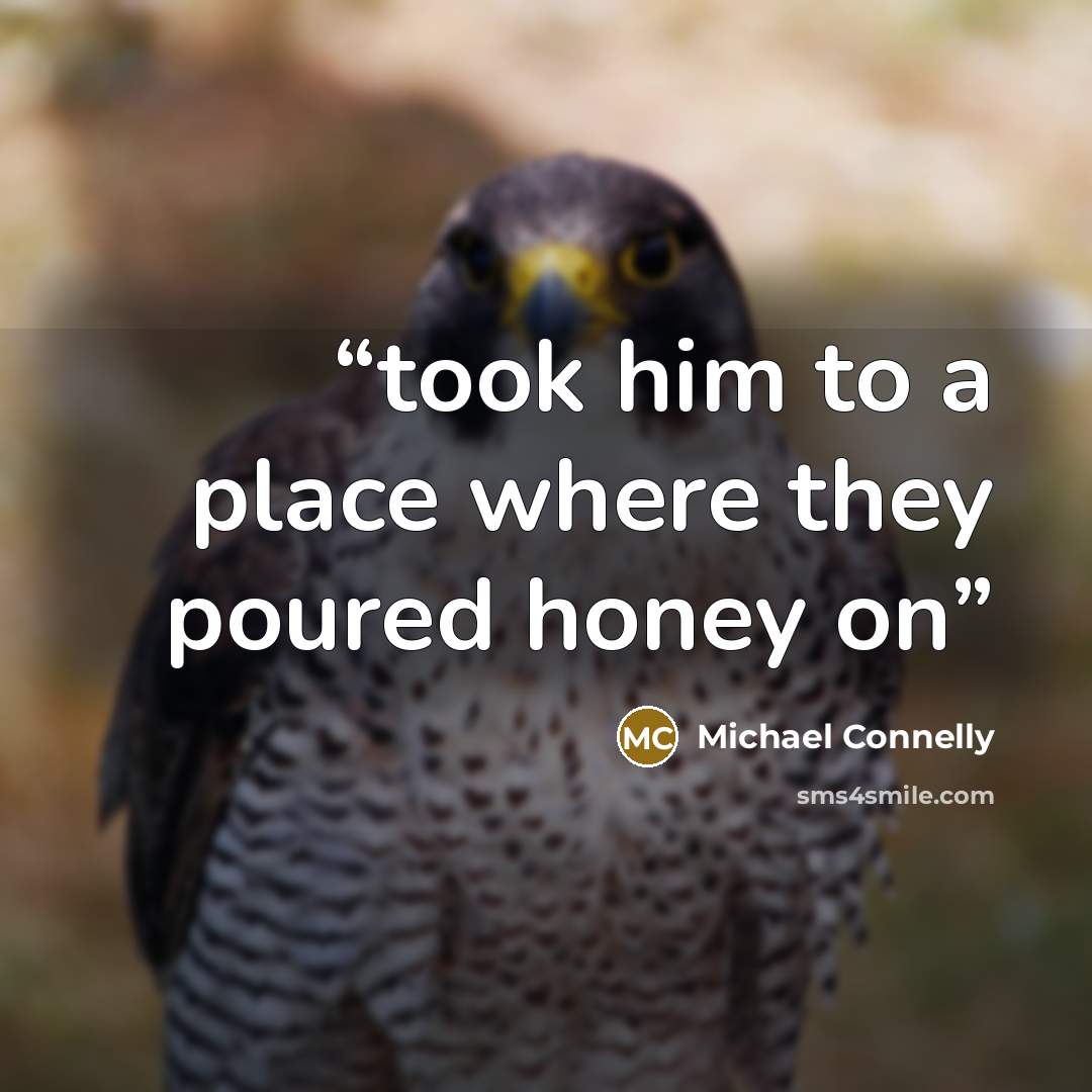 “took him to a place where they poured honey on” quote by Michael Connelly