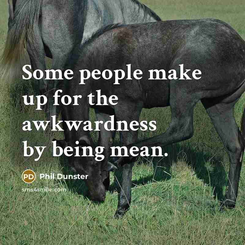 “Some people make up for the awkwardness by being mean.” quote by Phil Dunster