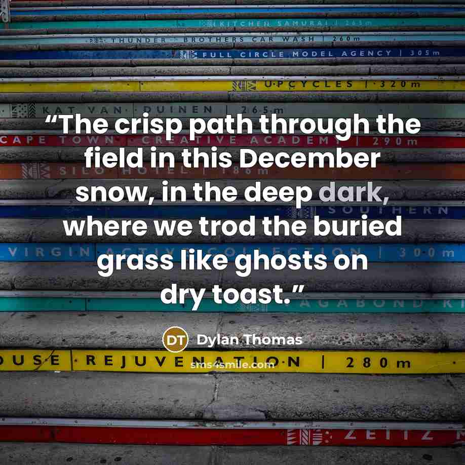 “The crisp path through the field in this December snow, in the deep dark, where we trod the buried grass like ghosts on dry toast.” quote by Dylan Thomas