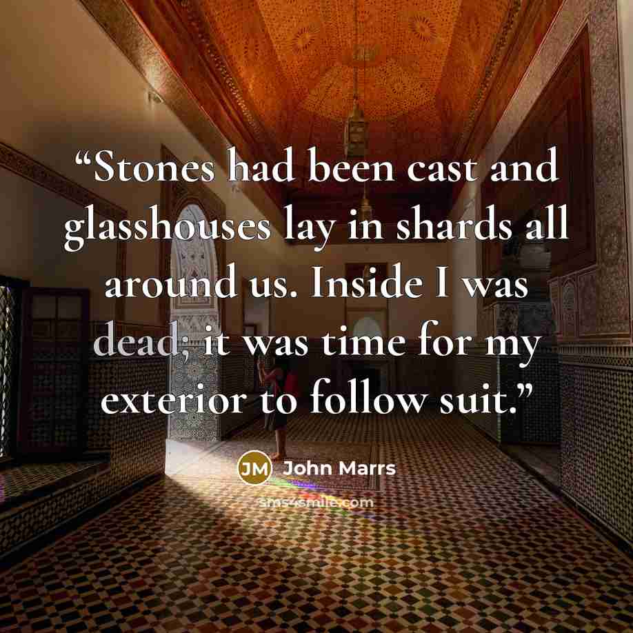 “Stones had been cast and glasshouses lay in shards all around us. Inside I was dead; it was time for my exterior to follow suit.” quote by John Marrs