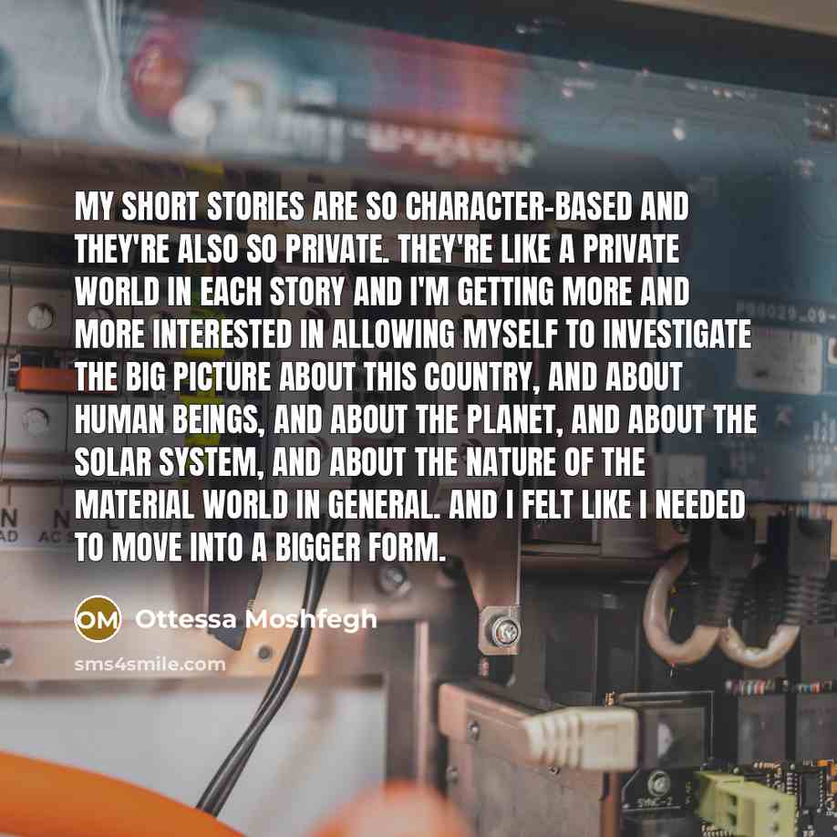 “My short stories are so character-based and they're also so private. They're like a private world in each story and I'm getting more and more interested in allowing myself to investigate the big picture about this country, and about human beings, and about the planet, and about the solar system…” quote by Ottessa Moshfegh