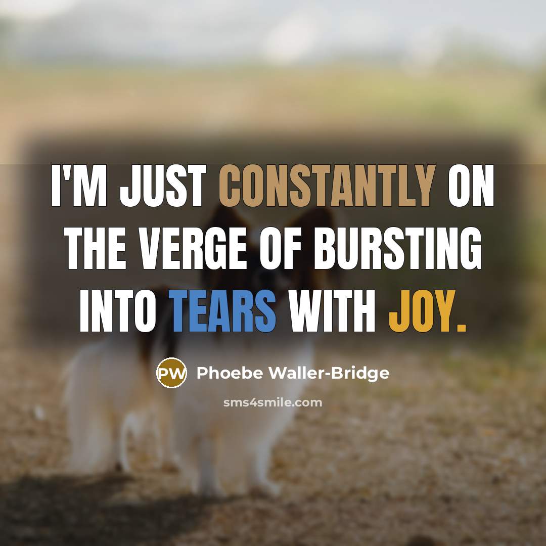 “I'm just constantly on the verge of bursting into tears with joy.” quote by Phoebe Waller-Bridge