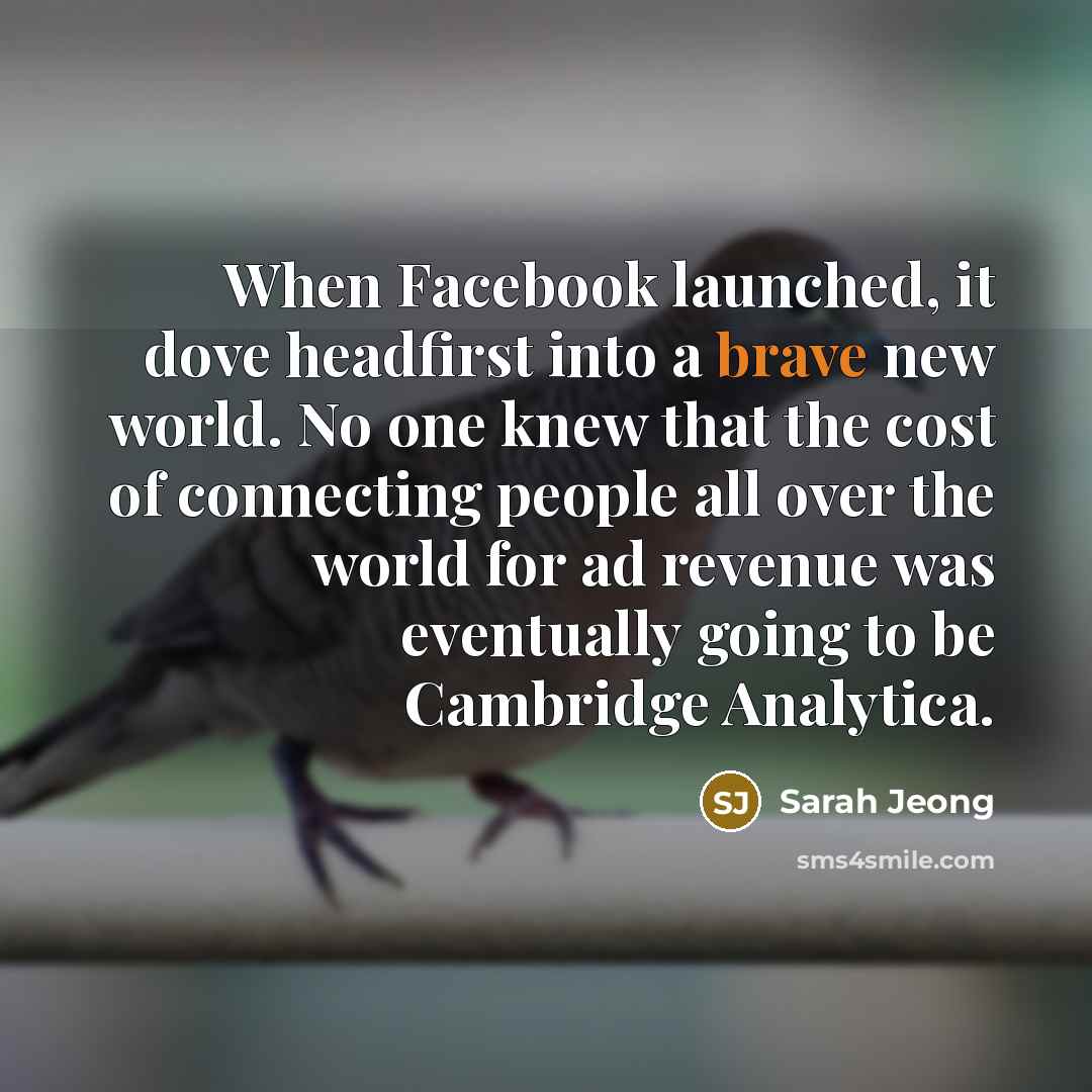 “When Facebook launched, it dove headfirst into a brave new world. No one knew that the cost of connecting people all over the world for ad revenue was eventually going to be Cambridge Analytica.” quote by Sarah Jeong