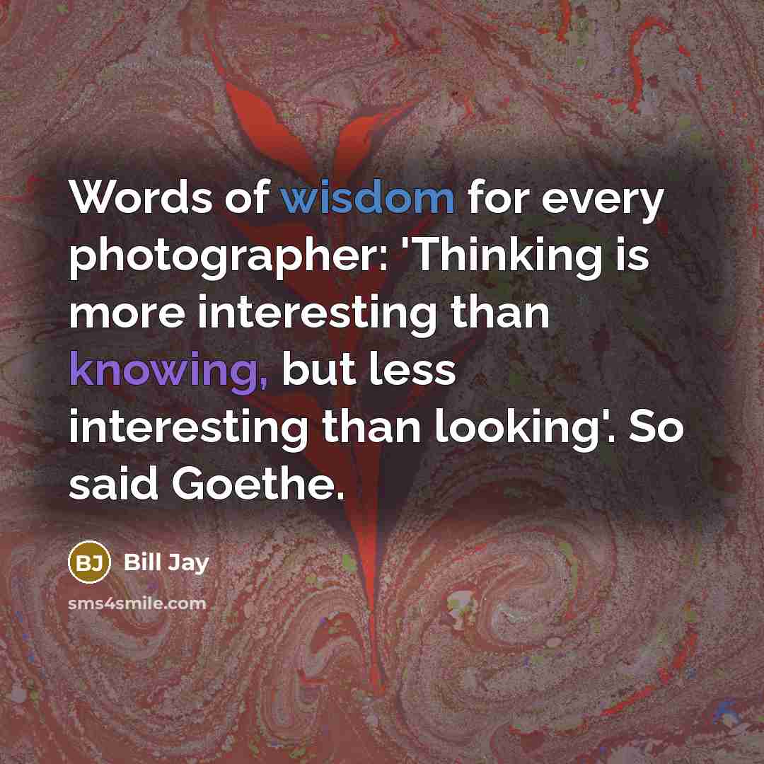“Words of wisdom for every photographer: 'Thinking is more interesting than knowing, but less interesting than looking'. So said Goethe.” quote by Bill Jay