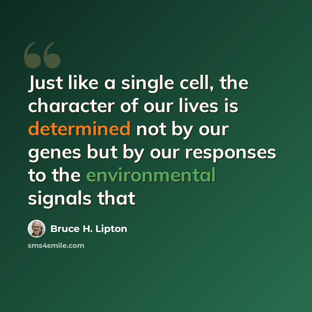 “Just like a single cell, the character of our lives is determined not by our genes but by our responses to the environmental signals that” quote by Bruce H. Lipton