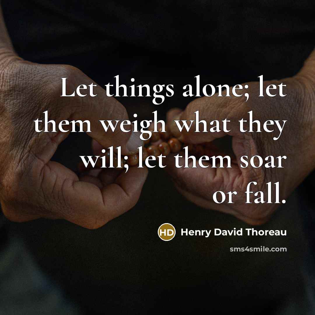“Let things alone; let them weigh what they will; let them soar or fall.” quote by Henry David Thoreau