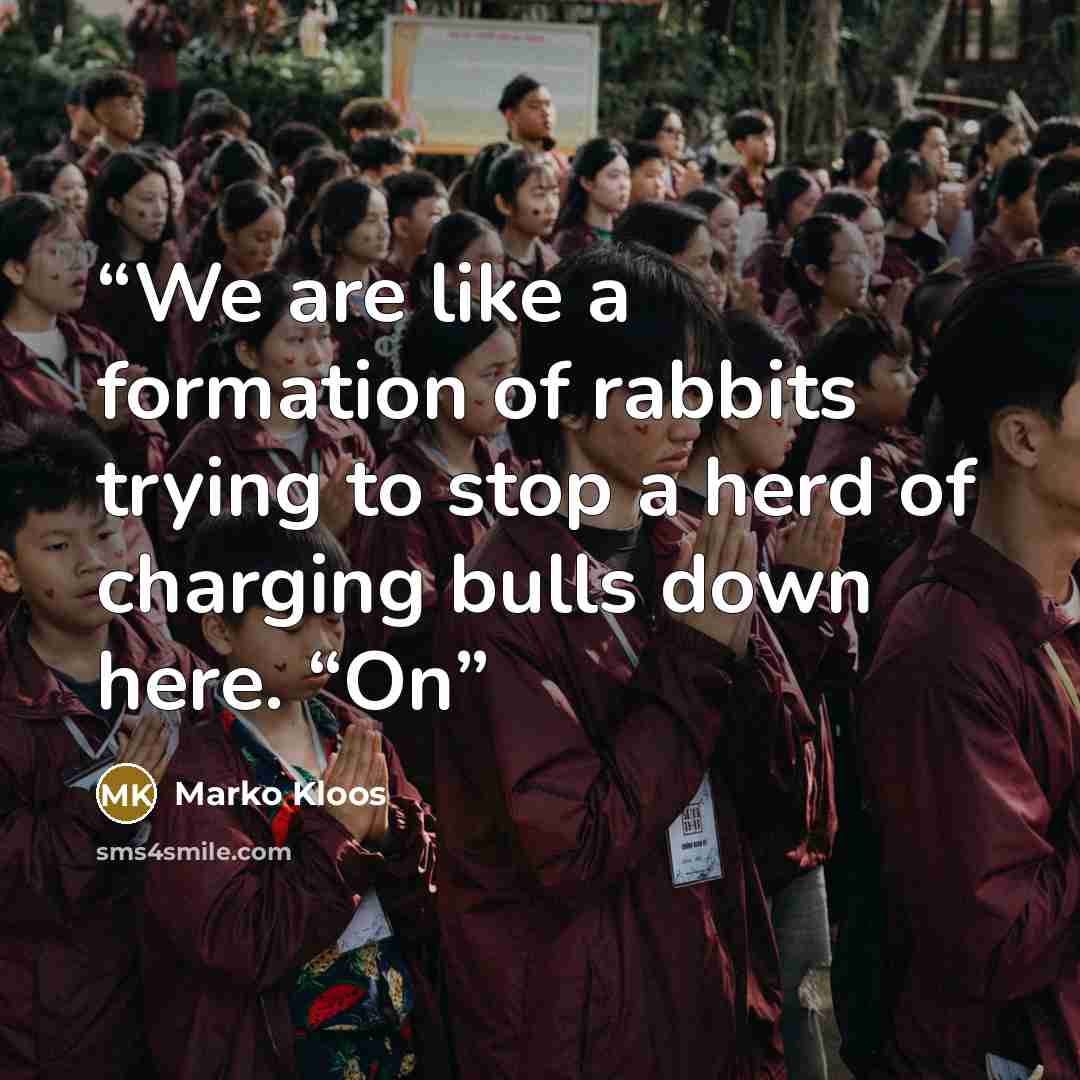 “We are like a formation of rabbits trying to stop a herd of charging bulls down here. “On” quote by Marko Kloos