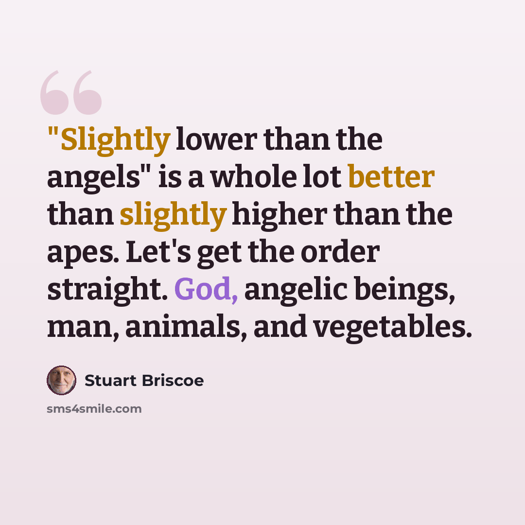 “"Slightly lower than the angels" is a whole lot better than slightly higher than the apes. Let's get the order straight. God, angelic beings, man, animals, and vegetables.” quote by Stuart Briscoe